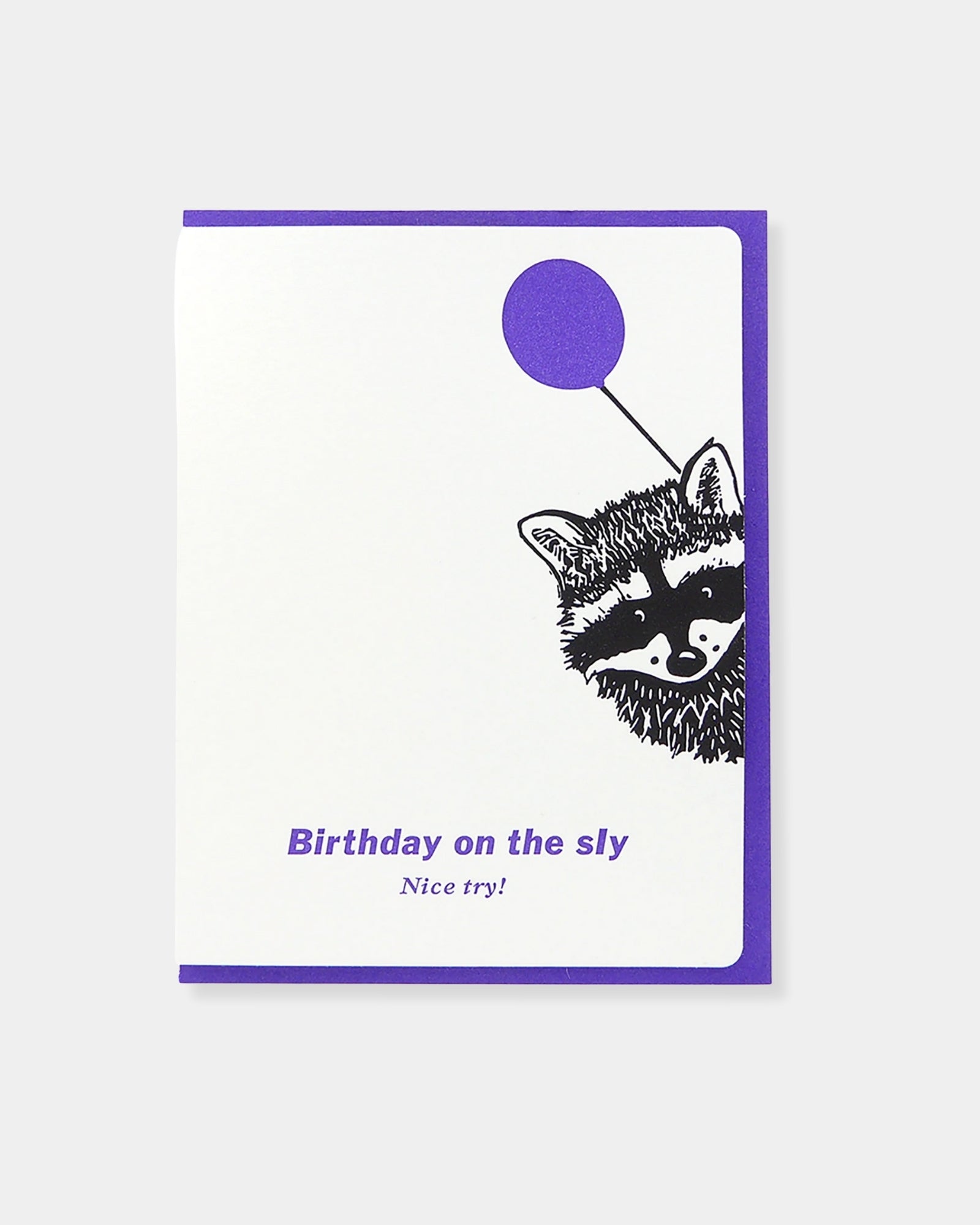 BIRTHDAY RACCOON ON THE SLY - CARD