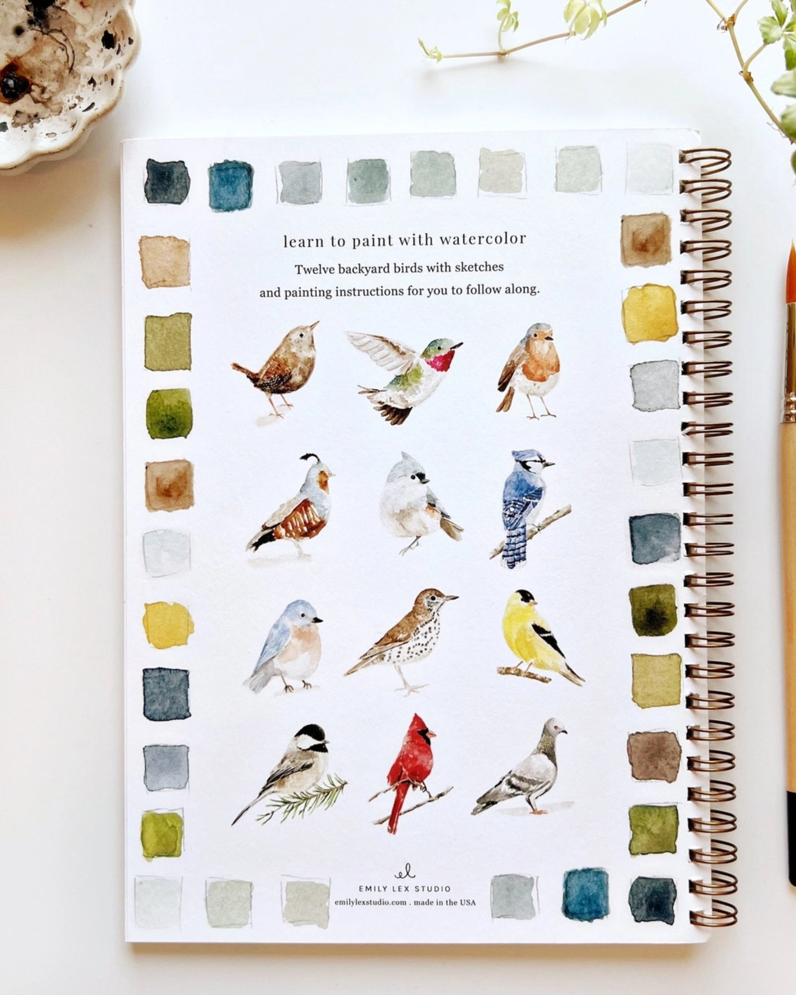 BIRDS WATERCOLOUR WORKBOOK