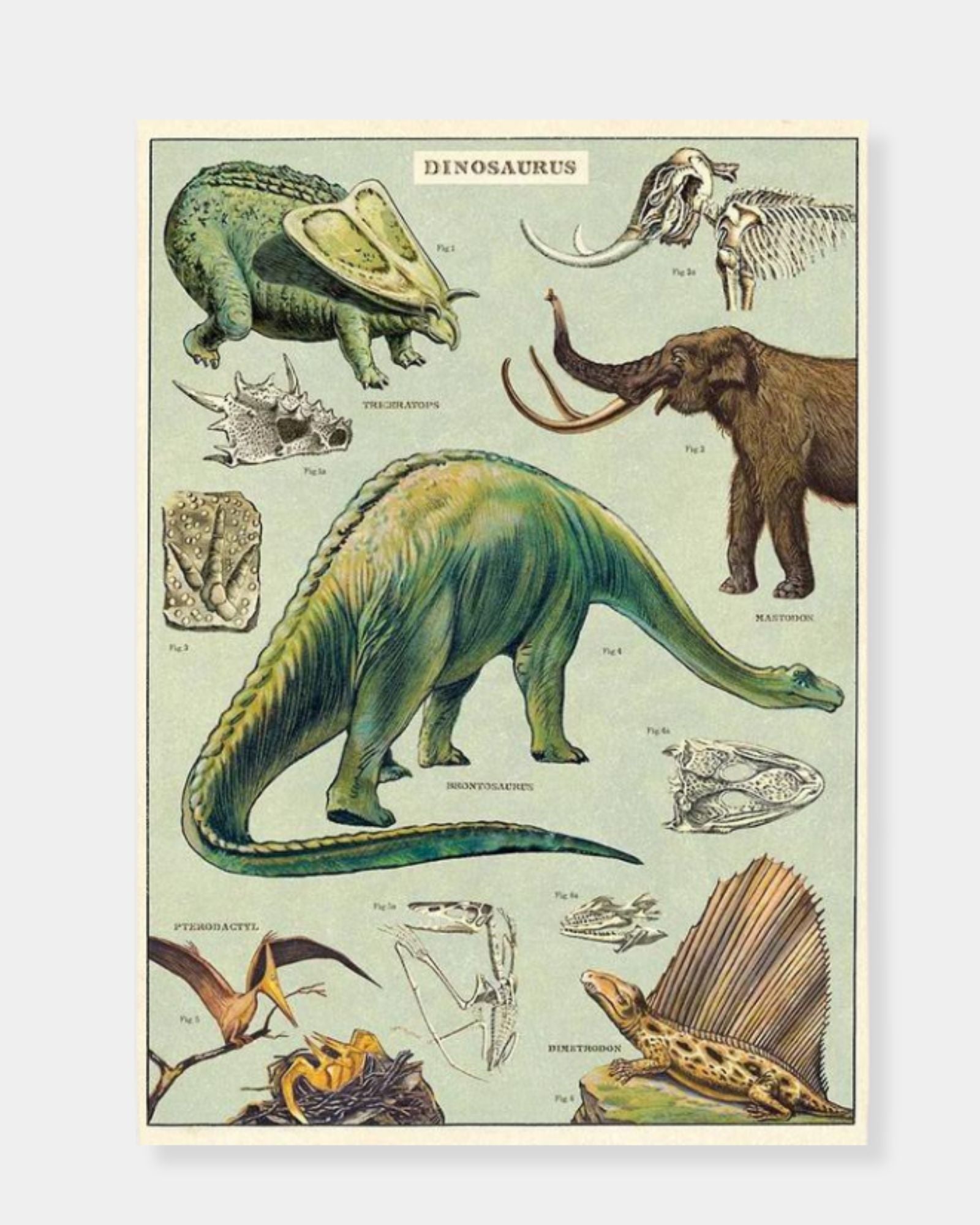 DINOSAURS - POSTER