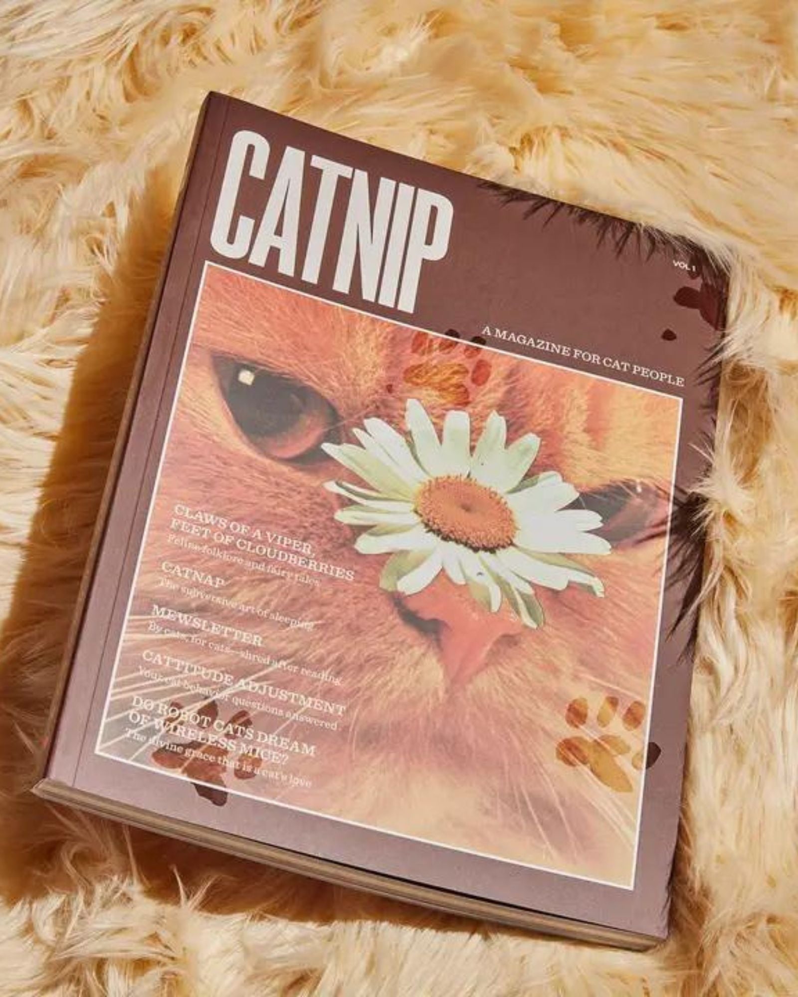 CATNIP MAGAZINE