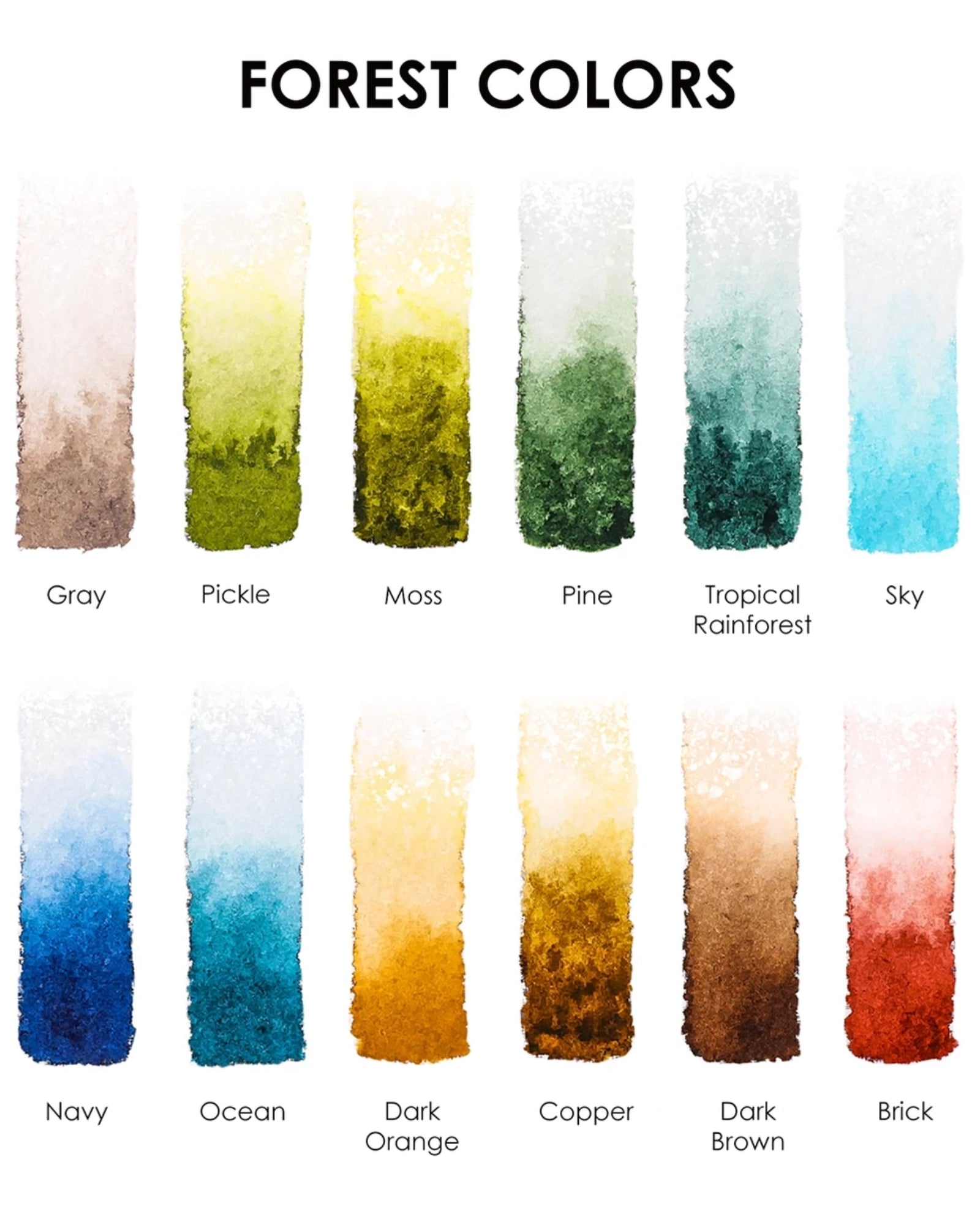 WATERRCOLOUR POCKET SET OF 12 - FOREST COLOURS