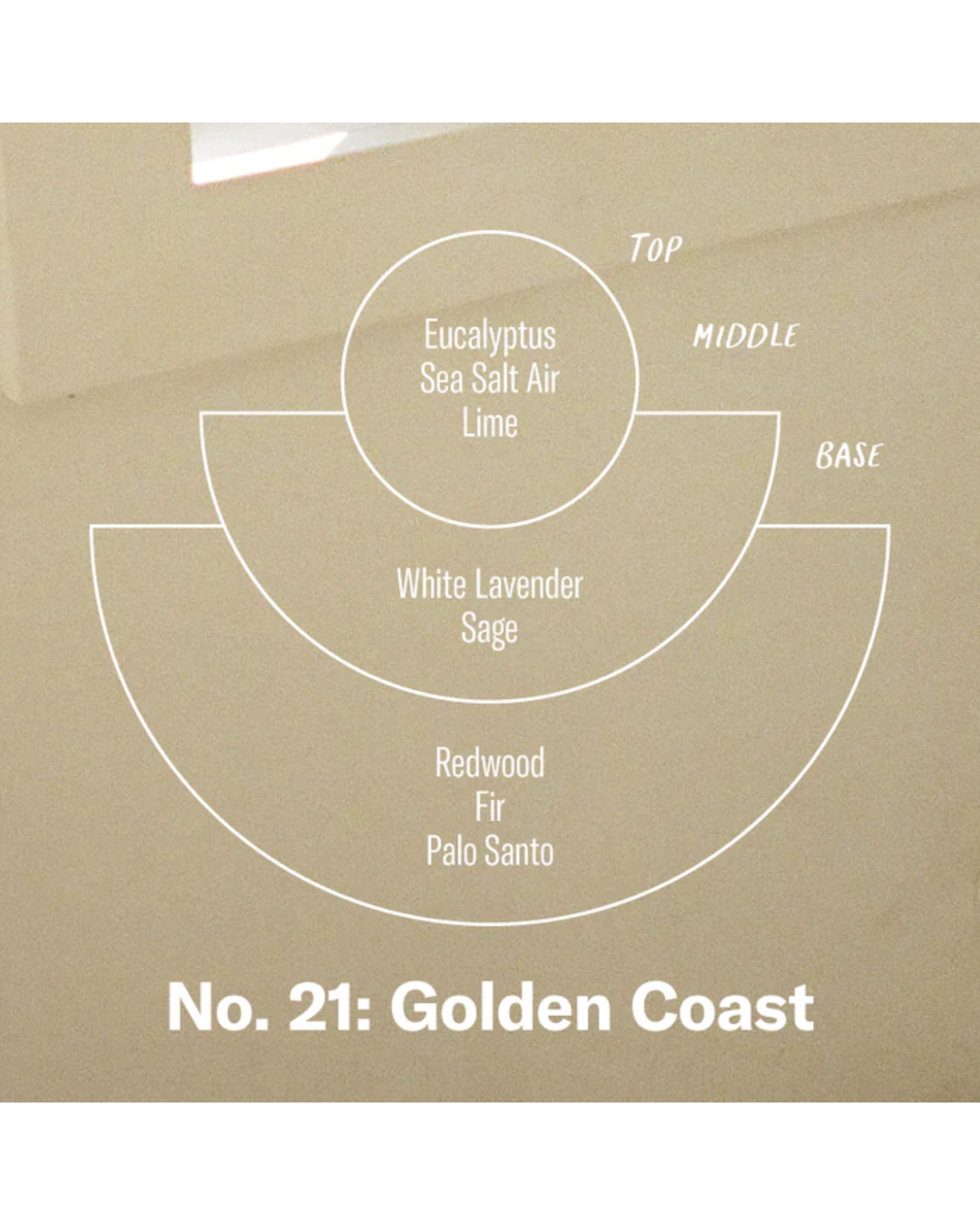 NO. 21 GOLDEN COAST 7.2 OZ - CANDLE