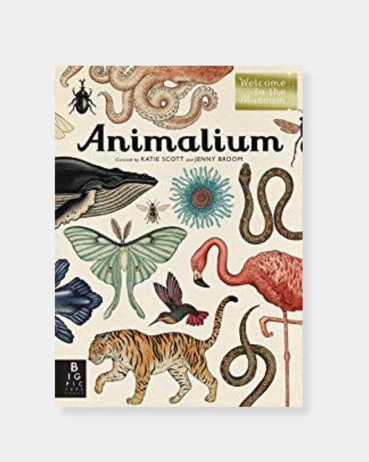 ANIMALIUM: WELCOME TO THE MUSEUM - BOOK