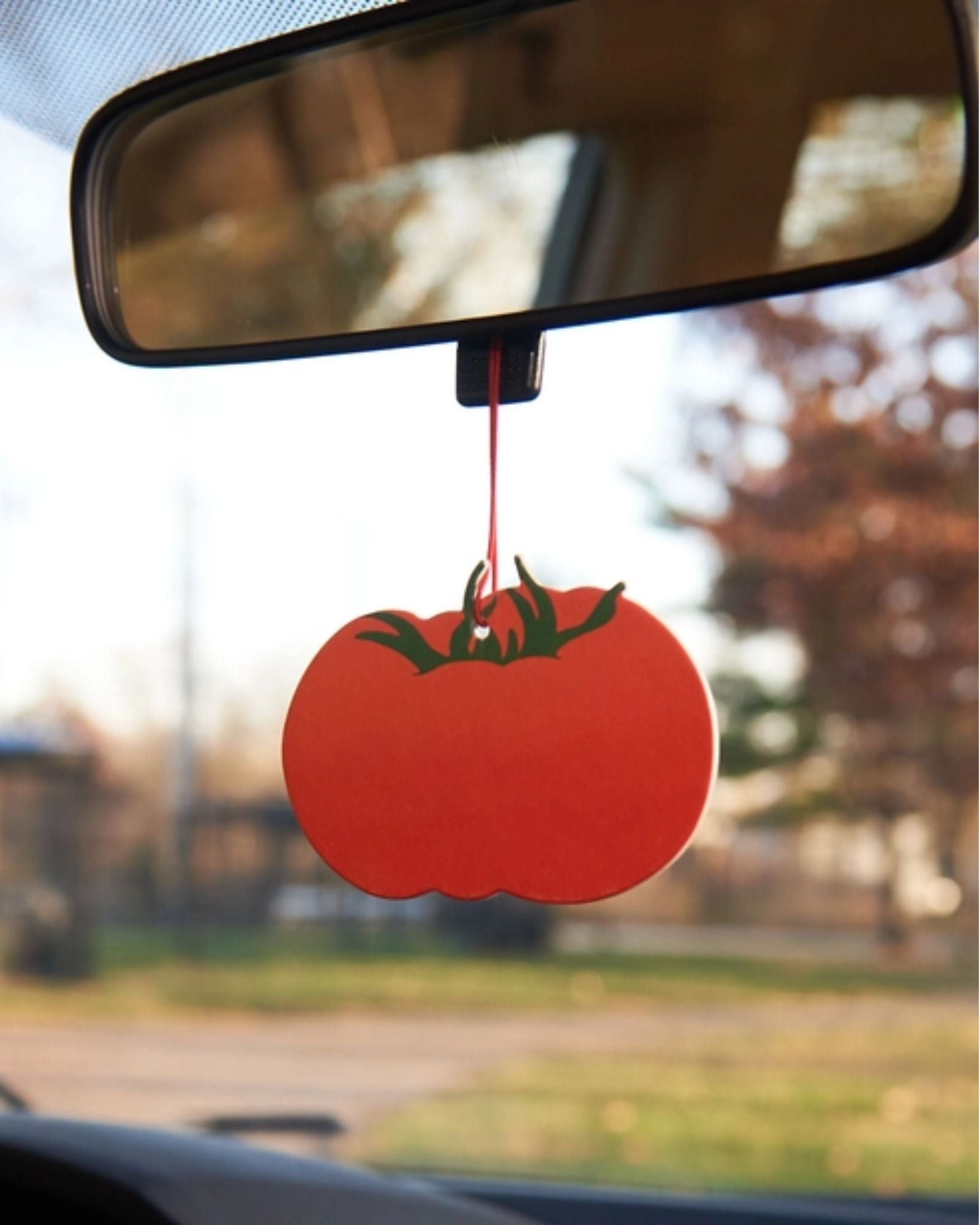 TOMATO AIR FRESHENER - CINNAMON CANDY SCENT