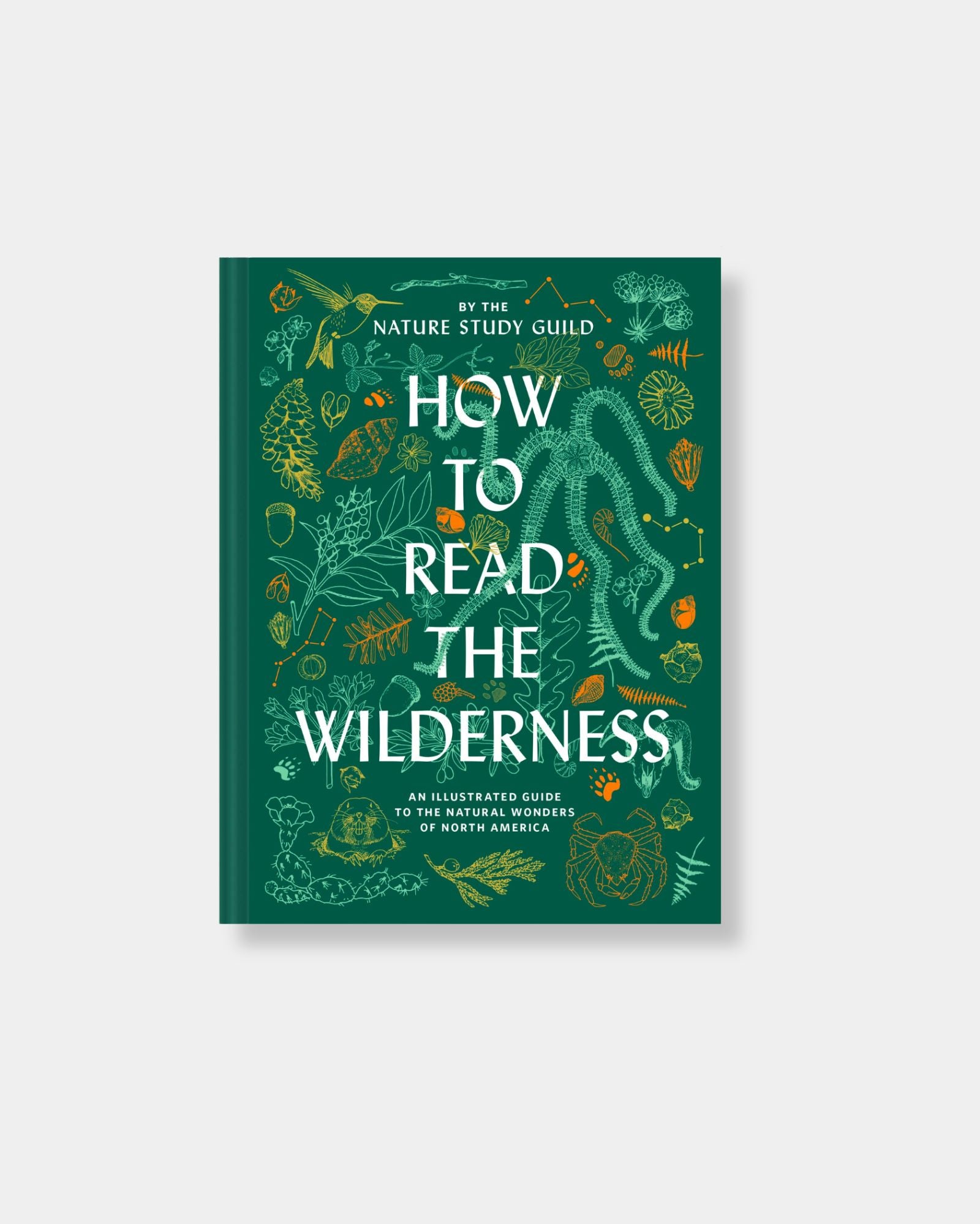 HOW TO READ THE WILDERNESS - BOOK