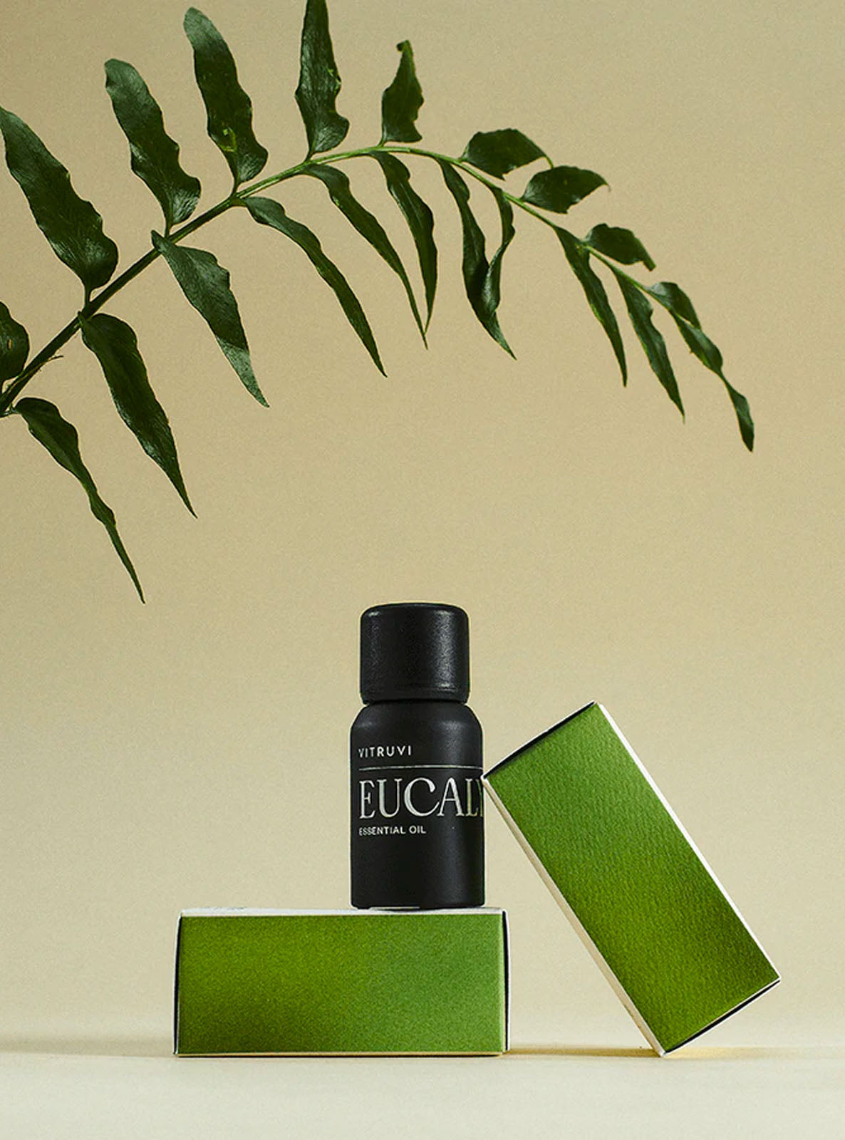 EUCALYPTUS - ESSENTIAL OIL - 544655808