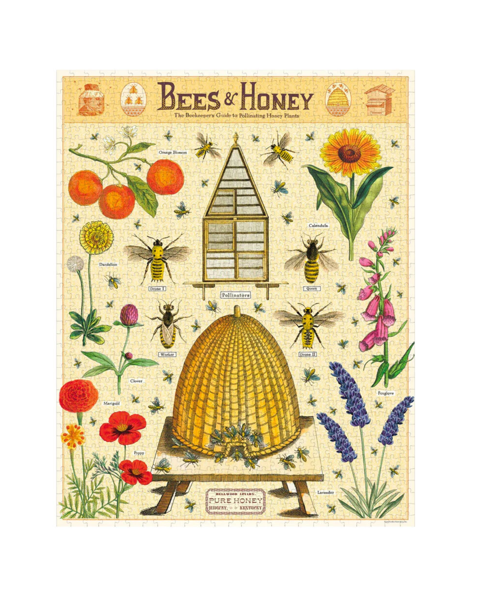 PUZZLE - BEES & HONEY