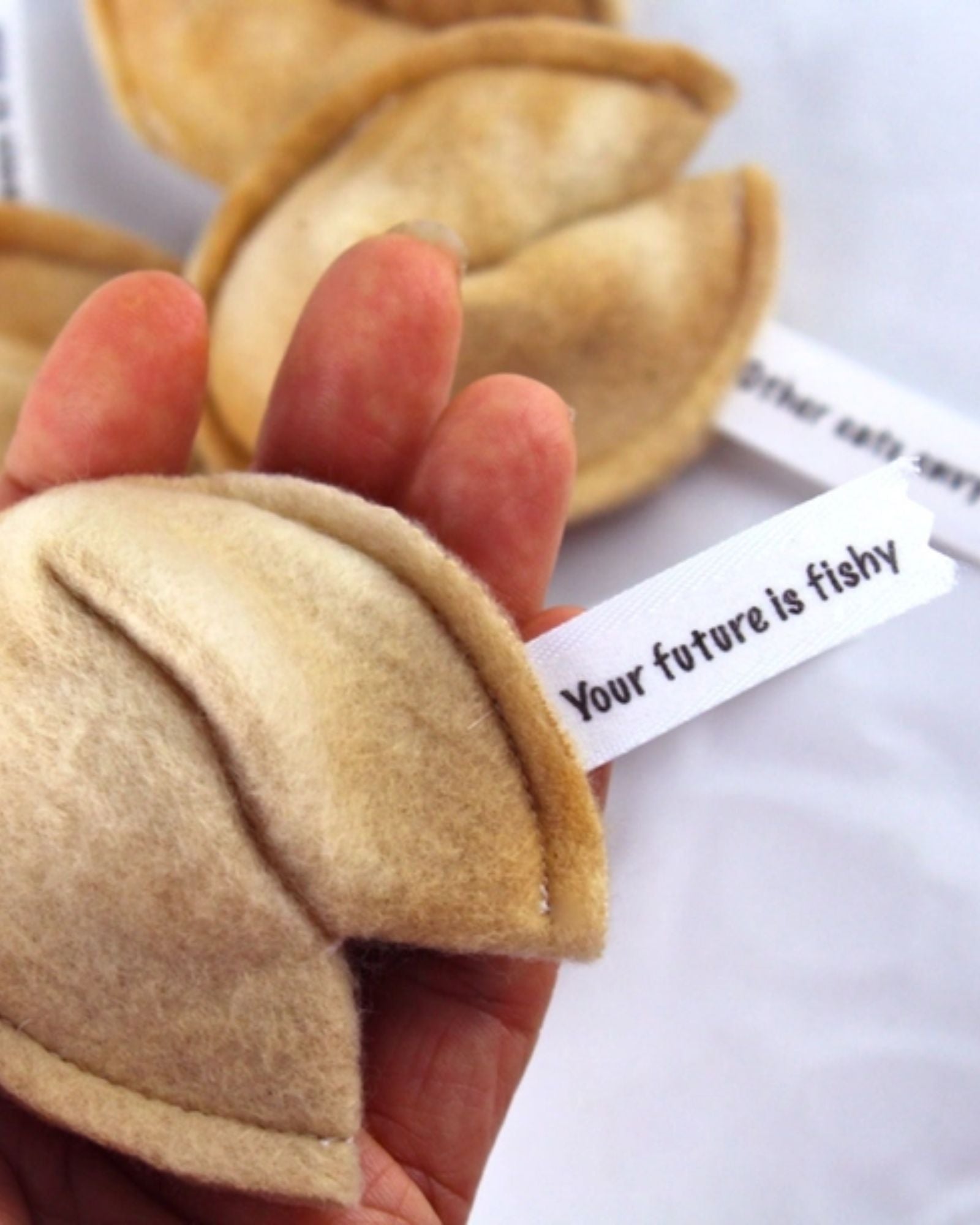 FORTUNE COOKIE - CAT TOY