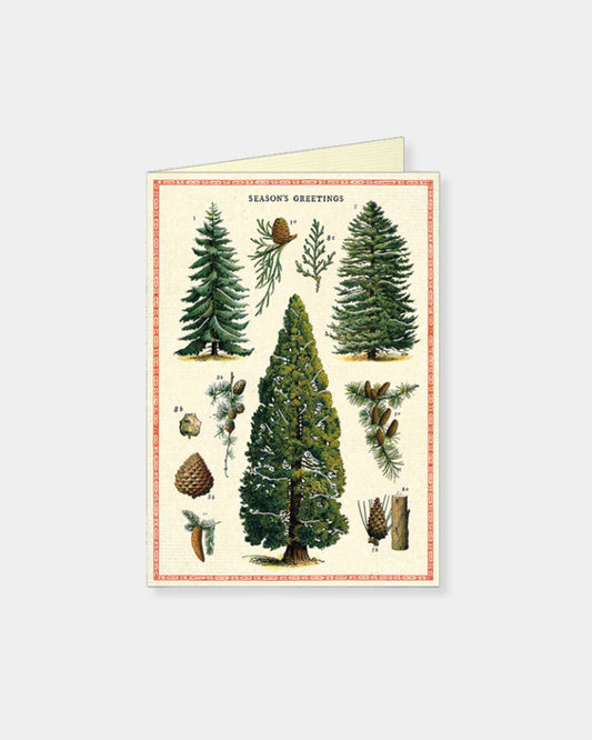 CHRISTMAS TREE - CARD