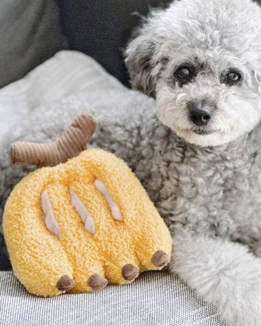 BANANA - PET TOY | Stonewaters