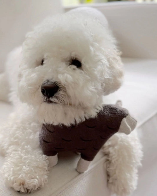BARRY - PET TOY | Stonewaters
