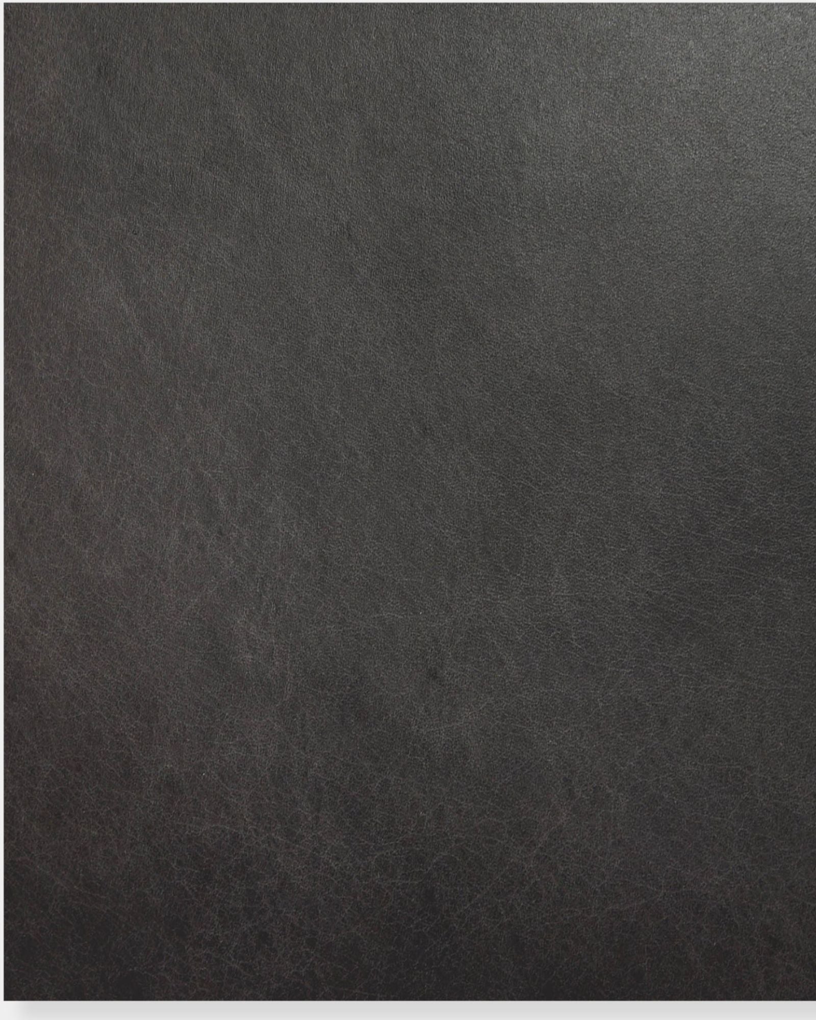 DAKOTA CHAIR BLACK - SET OF 2