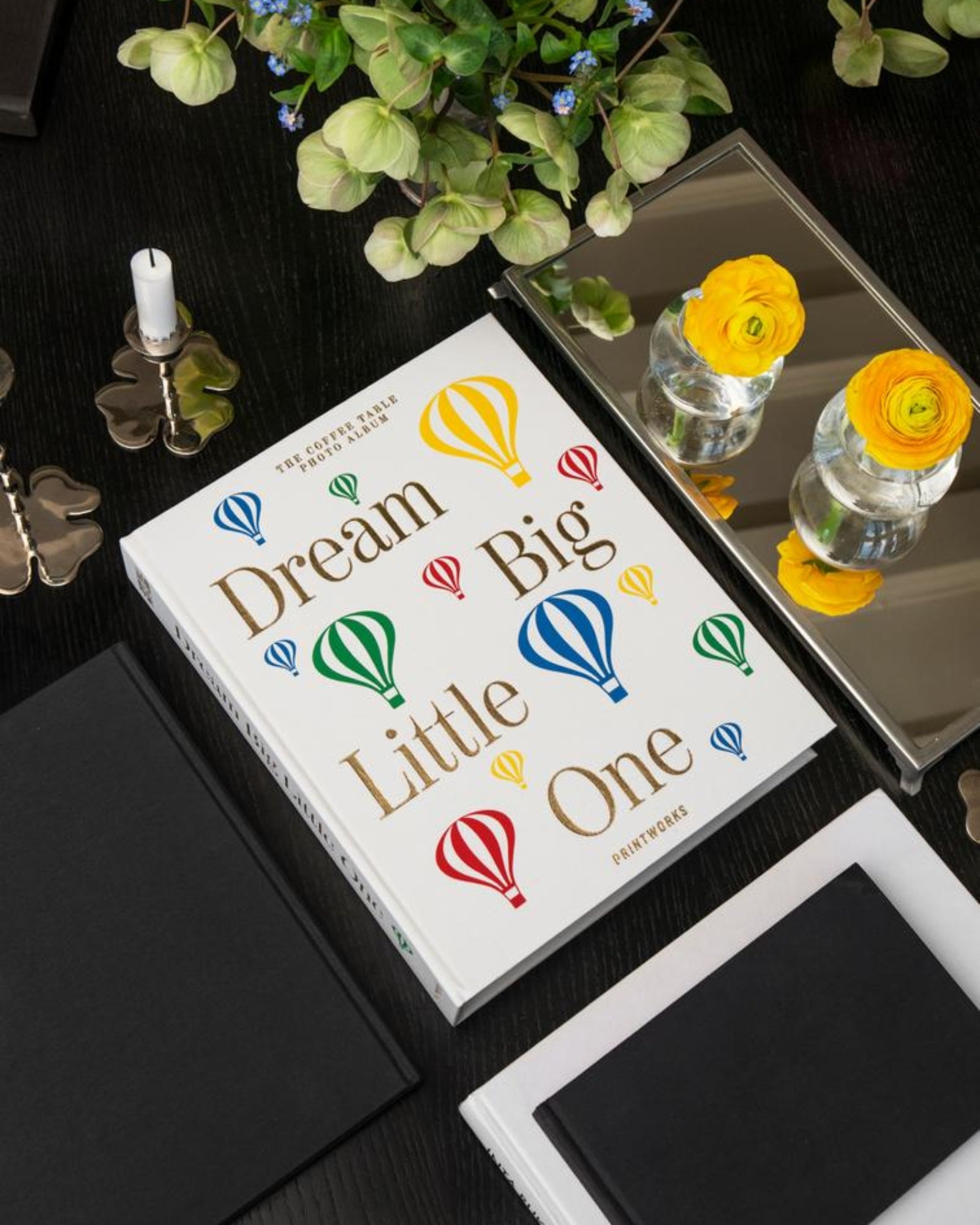 DREAM BIG LITTLE ONE - BABY ALBUM