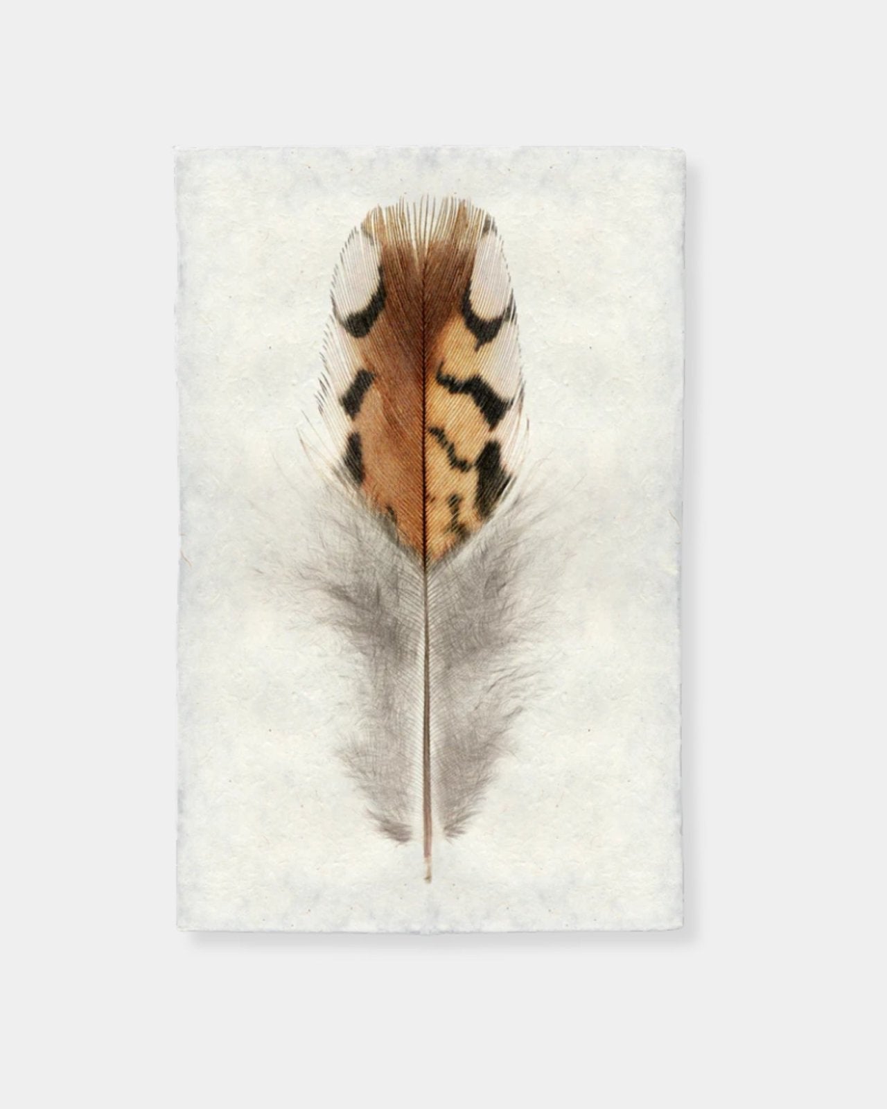 BOBWHITE QUAIL 2 - PRINT 20x30 | Stonewaters
