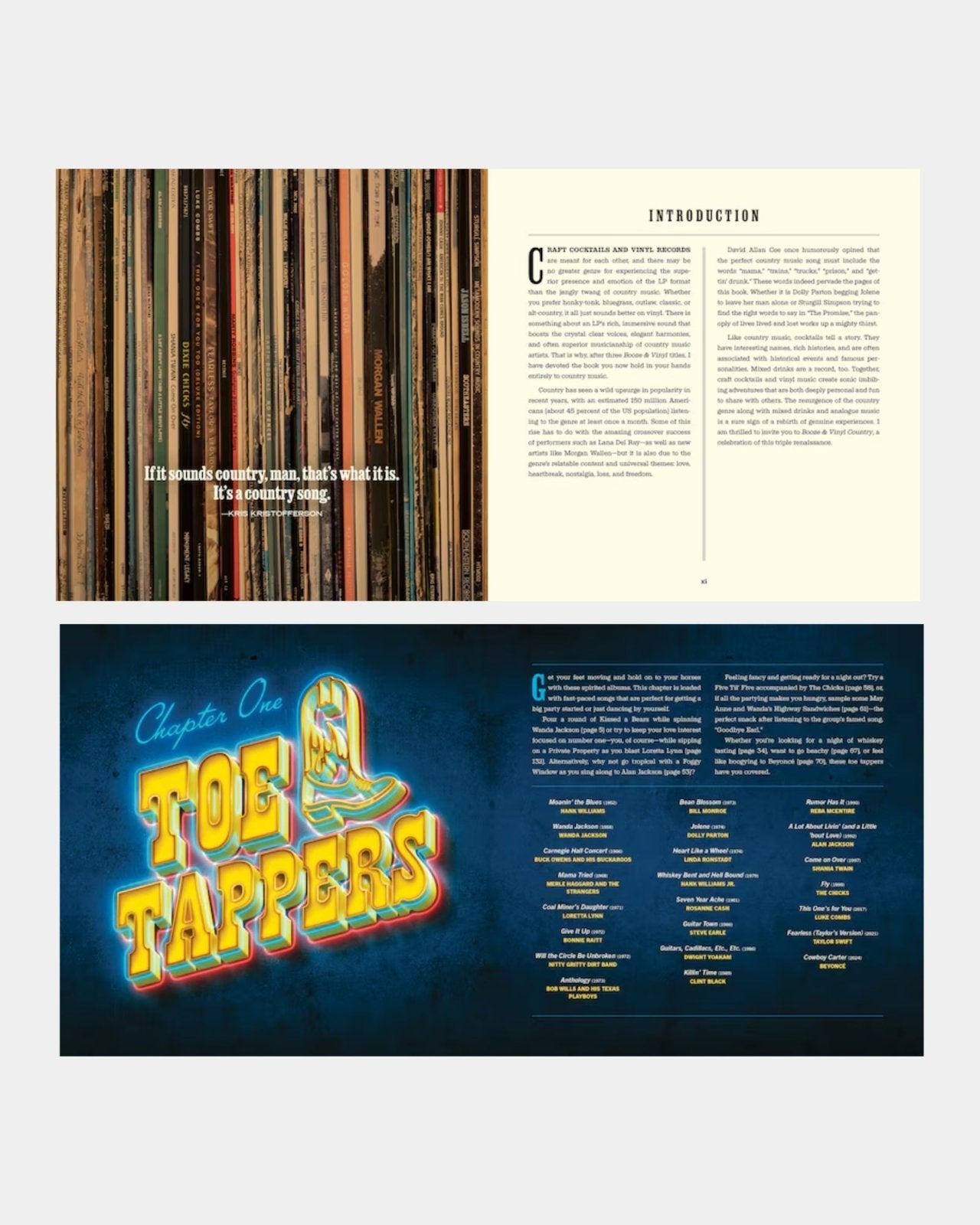 BOOZE & VINYL COUNTRY: 100 SPIRITED MUSIC-AND-DRINK PAIRINGS | Stonewaters