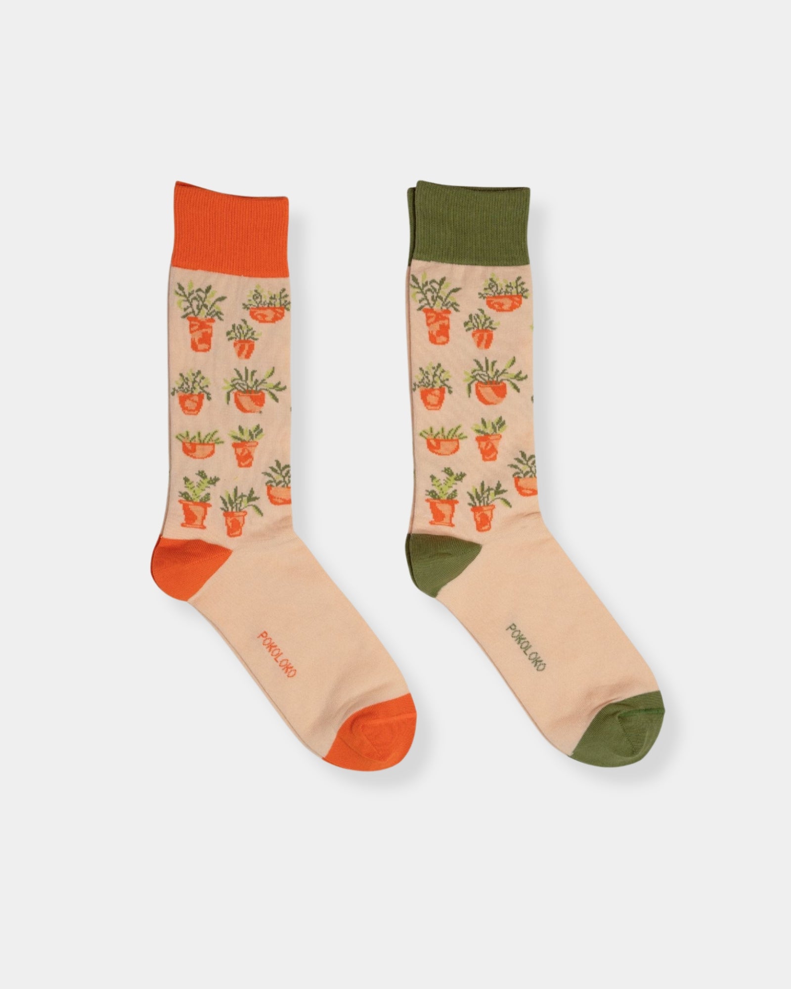 PIMA SOCK PLANT LIFE - SET 2