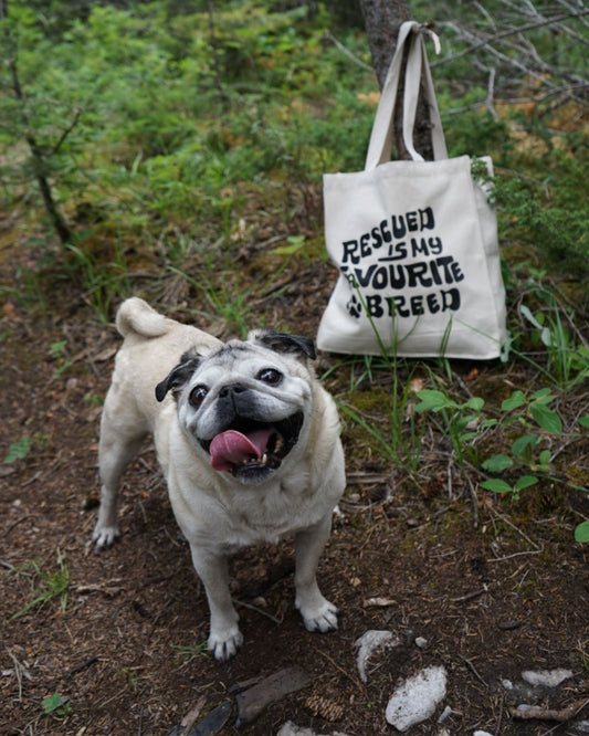 SPCA - TOTE