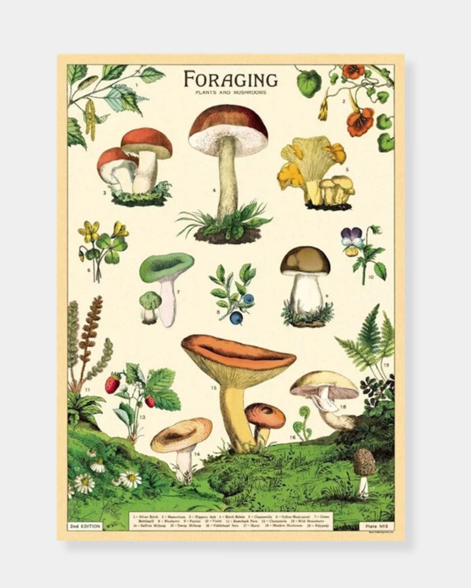 FORAGE - POSTER