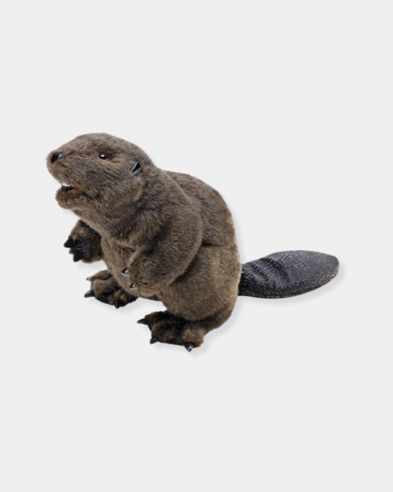 BEAVER PUPPET