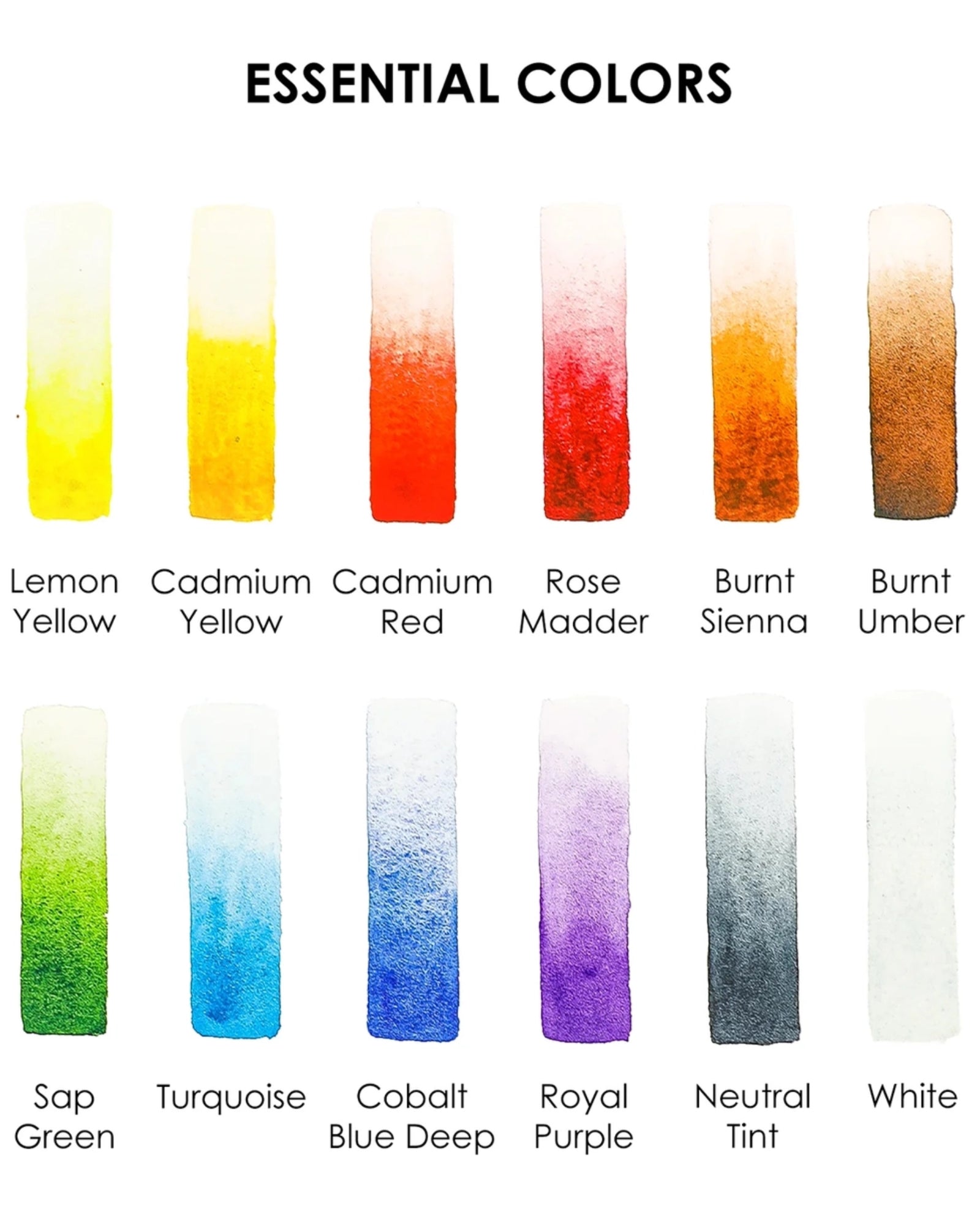 WATERRCOLOUR POCKET SET OF 12 - ESSENTIAL COLOURS