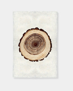 OAK TREE RING - PRINT