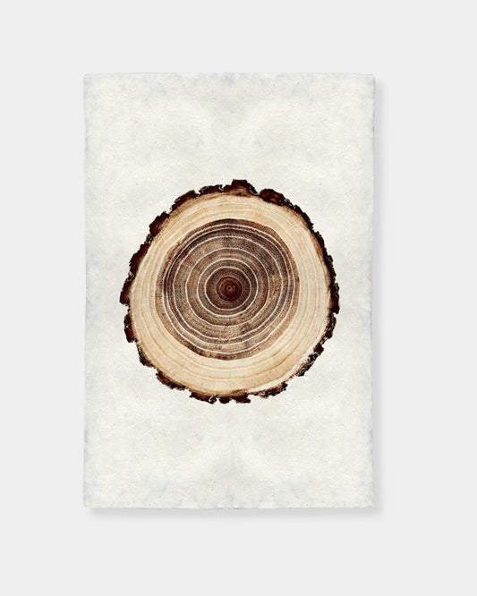 OAK TREE RING - PRINT