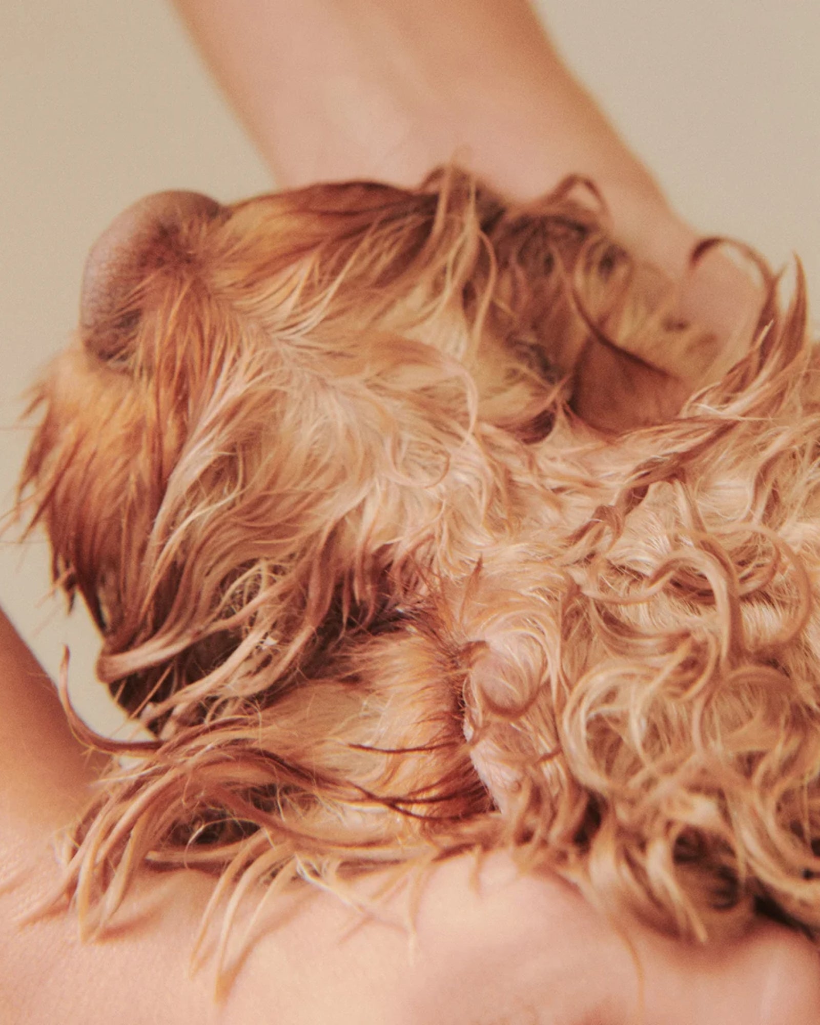 NOURISH HYDRATING DOG CONDITIONER