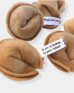 FORTUNE COOKIE - CAT TOY