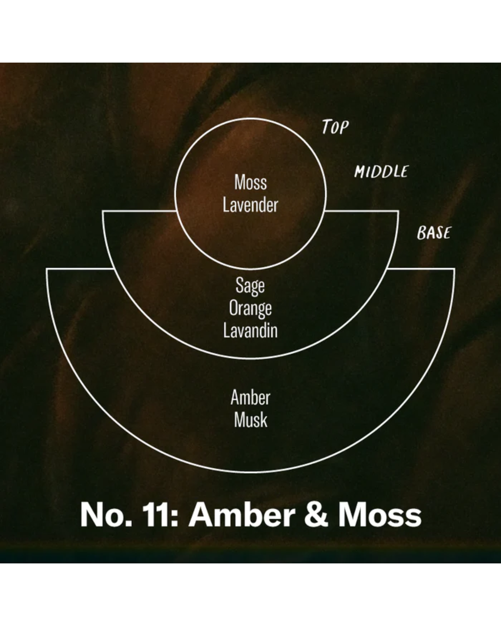 NO. 11 AMBER & MOSS - CAR FRAGRANCE