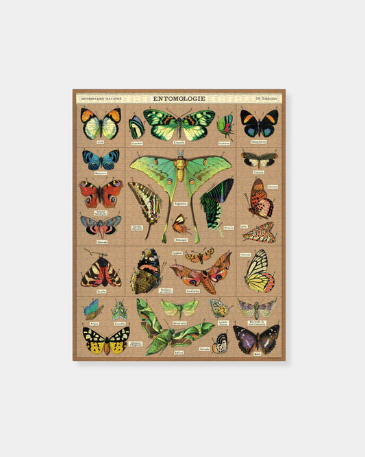 ENTOMOLOGY - PUZZLE