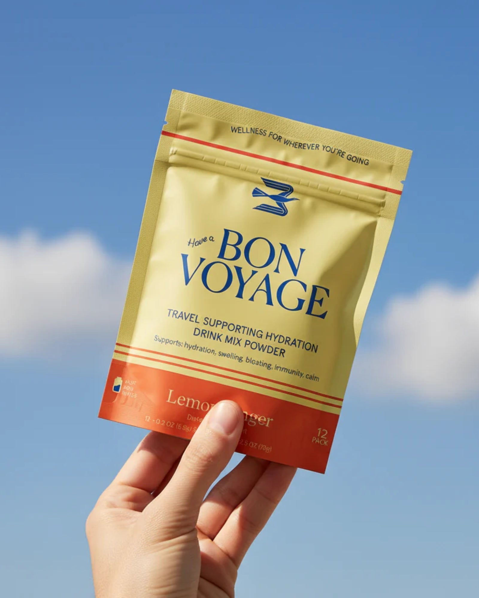 LEMON GINGER HYDRATION DRINK MIX POWDER