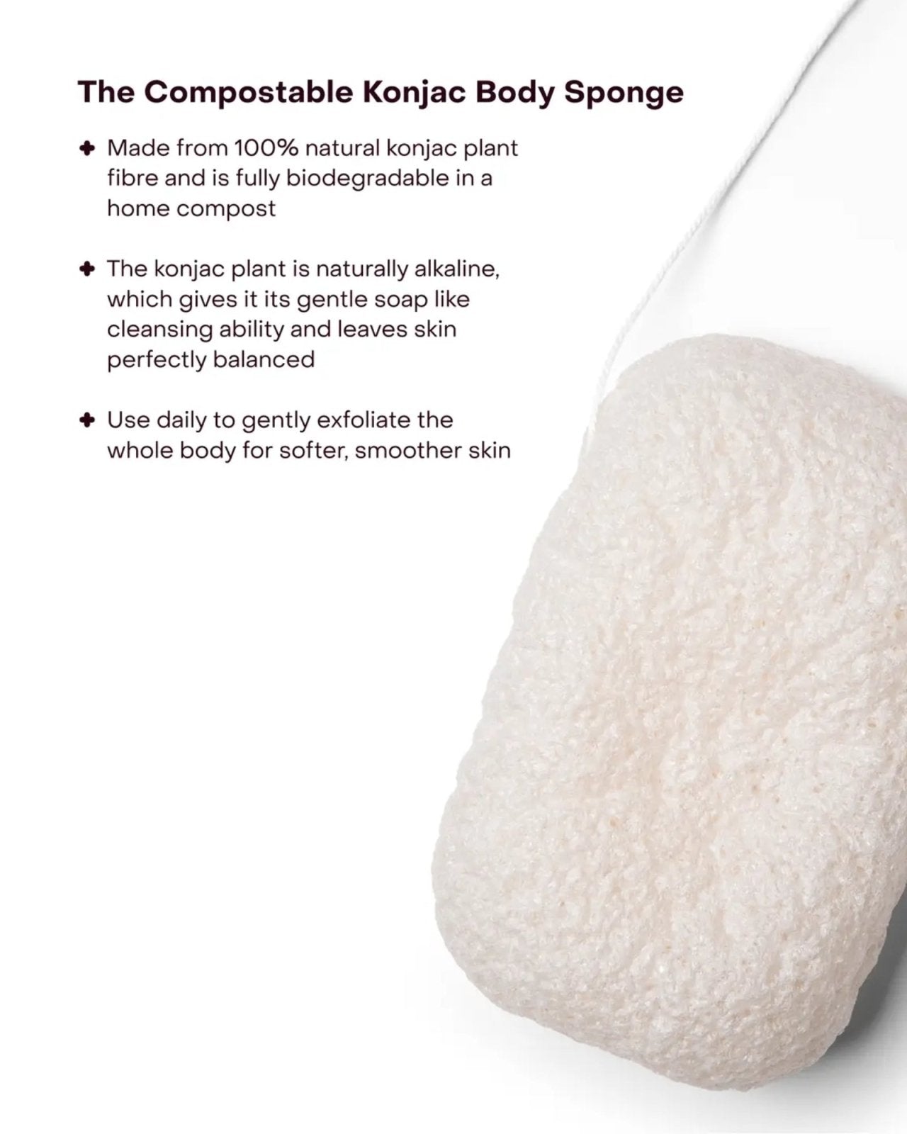 COMPOSTABLE KONJAC BODY SPONGE | Stonewaters