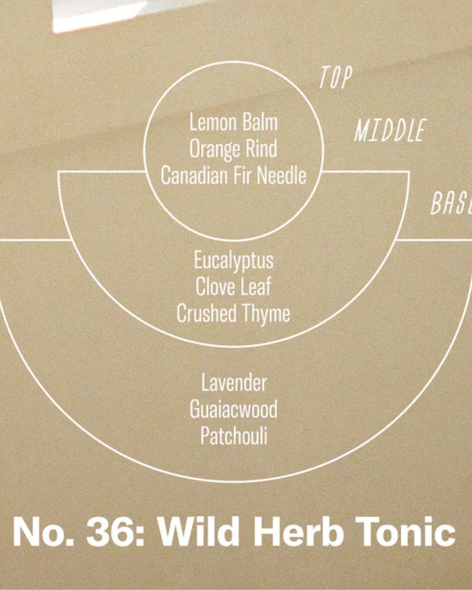 NO. 21 WILD HERB TONIC - INCENSE