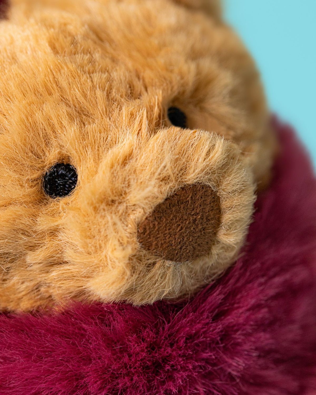 BARTHOLOMEW BEAR WINTER WARMER DECORATION - PLUSH TOY