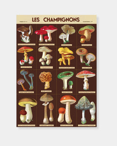 LES CHAMPIGNONS - POSTER