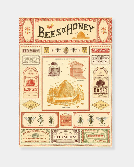 BEES & HONEY - POSTER