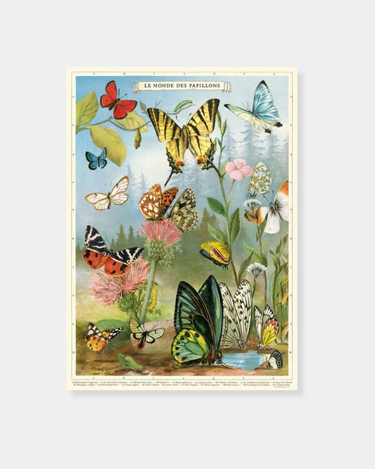 BUTTERFLIES - POSTER