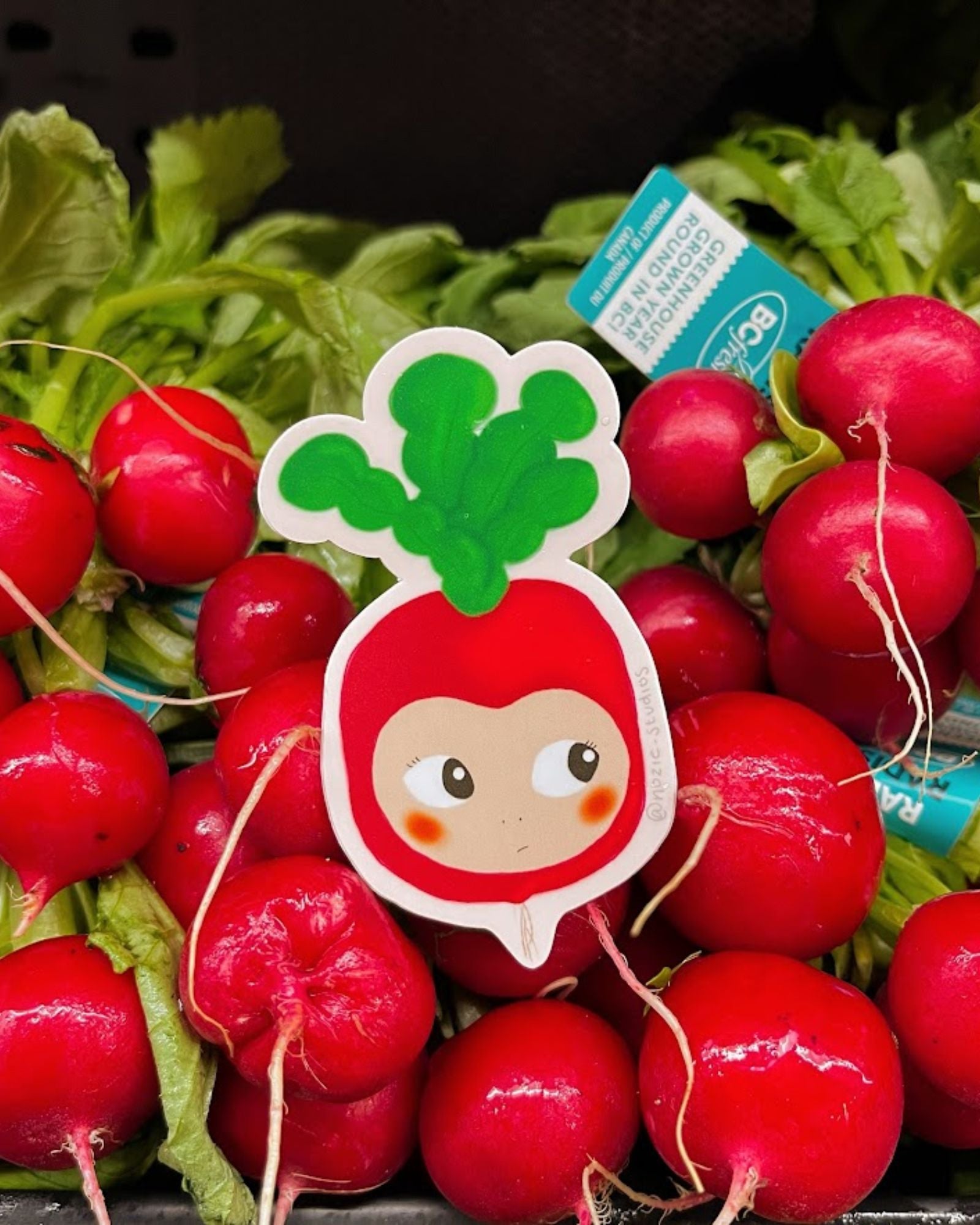 RADISH BABY - STICKER