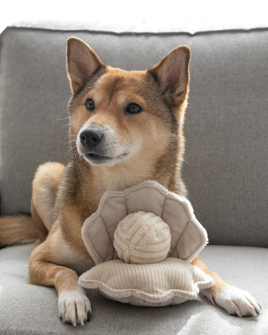 OYSTER POP - PET TOY