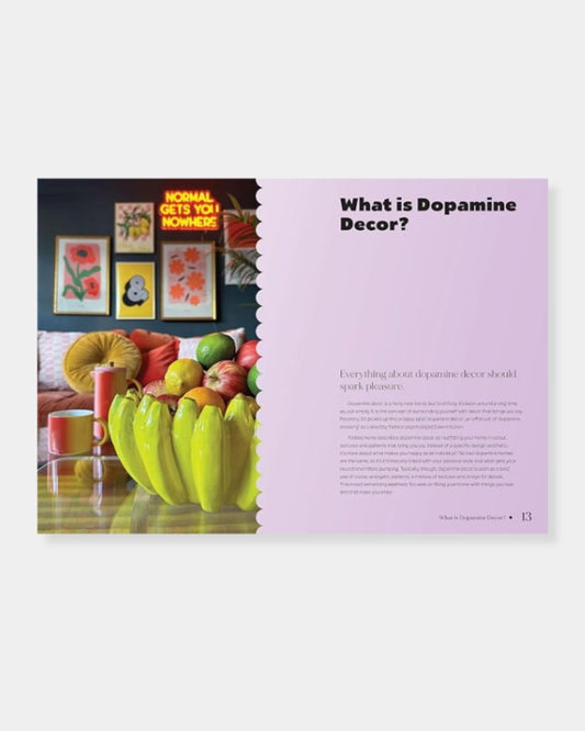 DOPAMINE HOME BOOK | Stonewaters