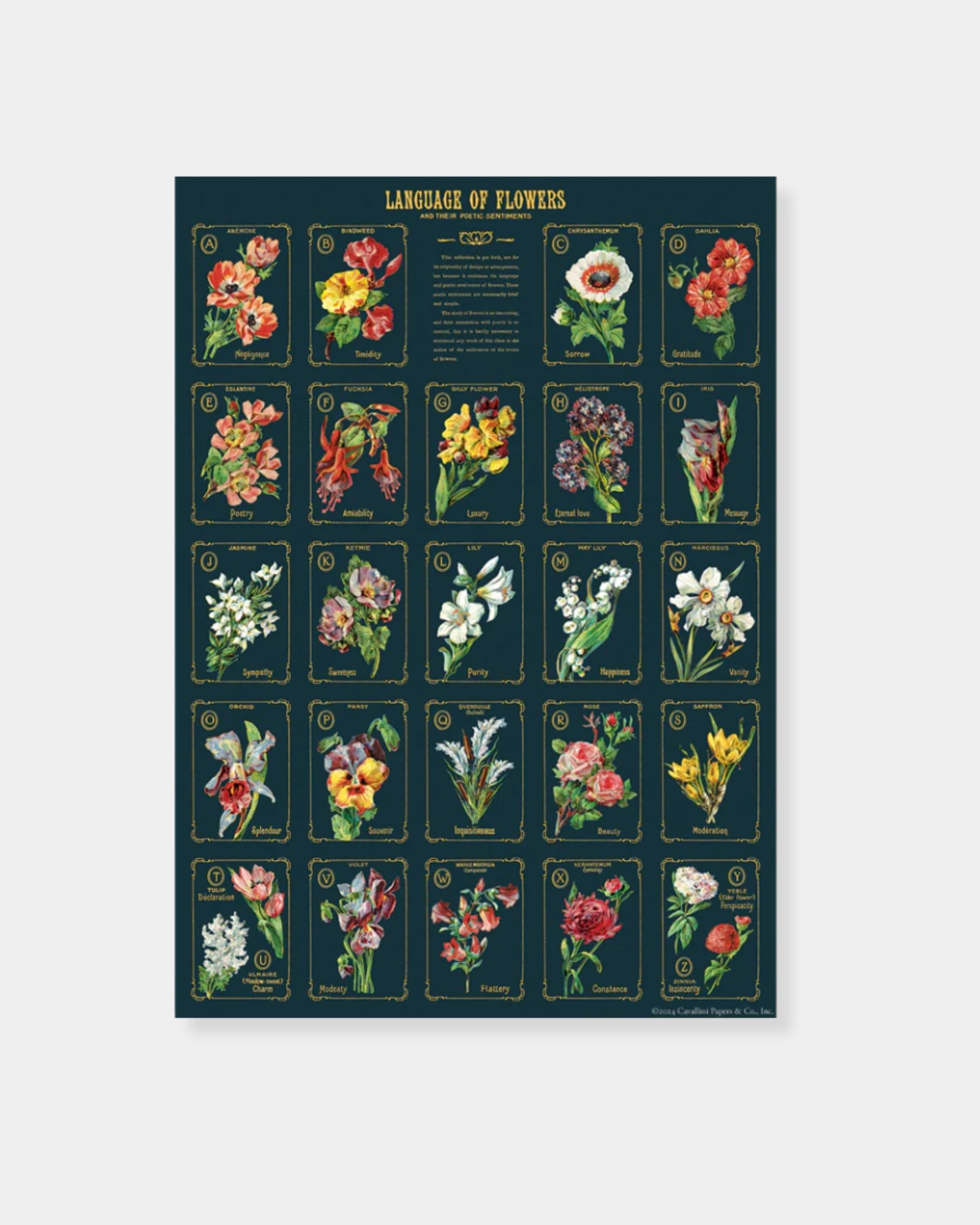 LANGUAGE OF FLOWERS - POSTER