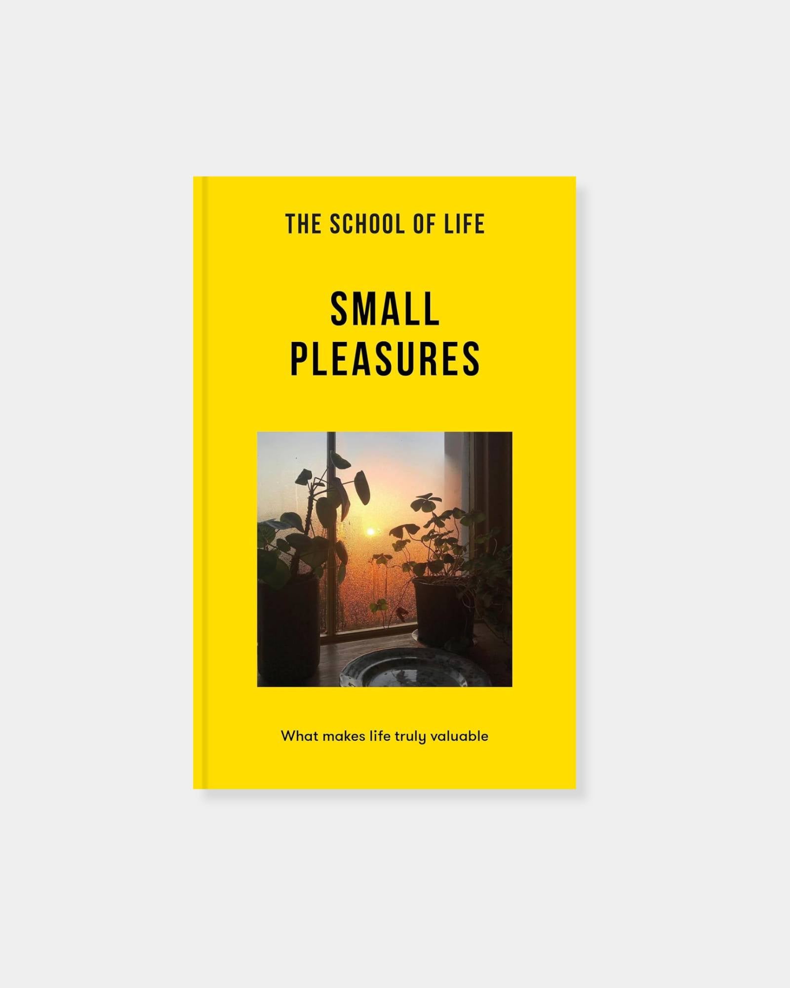 SCHOOL OF LIFE: SMALL PLEASURES