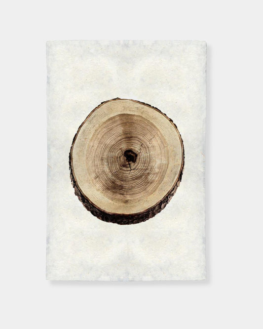 CHERRY TREE RING (20x30) - PRINT