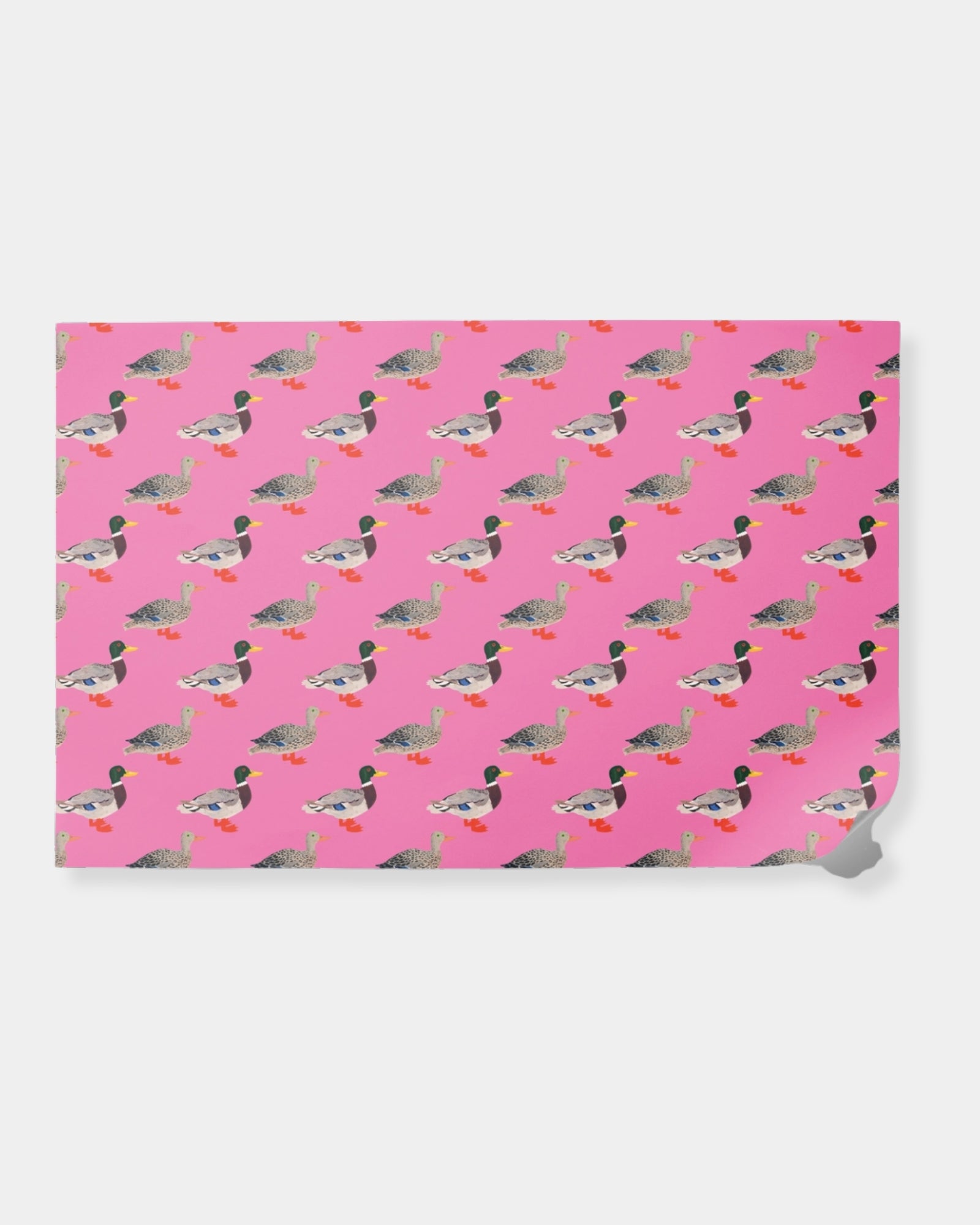 QUACKY BIRTHDAY WRAPPING PAPER