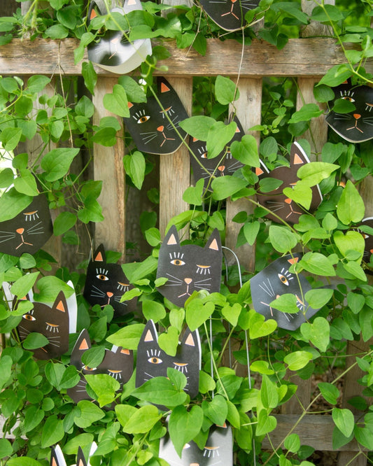 BLACK CAT BLINK - CARD