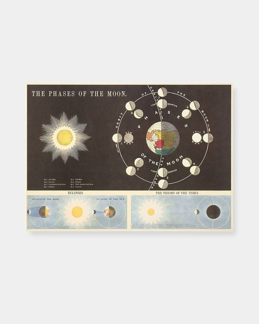 MOON PHASES - POSTER