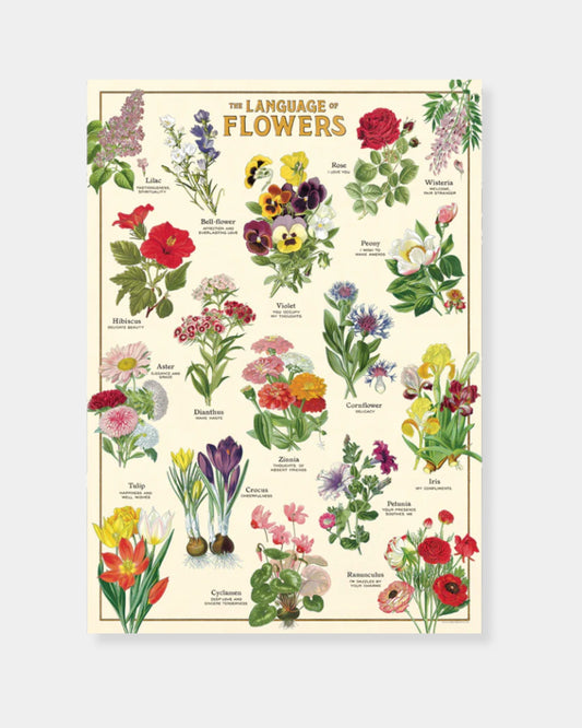 LANGUAGE OF FLOWERS WHITE - POSTER