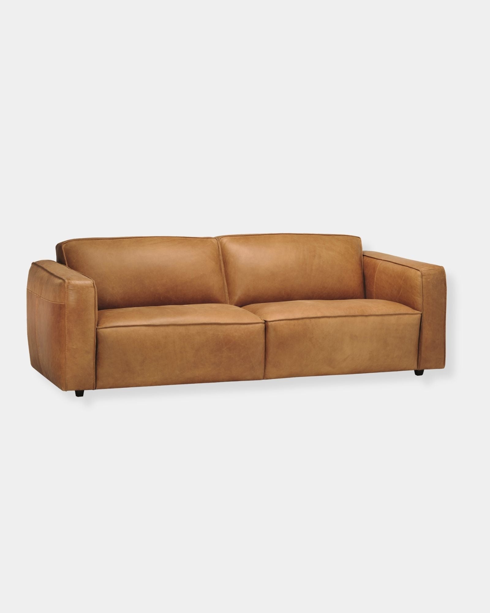 CARO SOFA - SADDLEBAG COIN