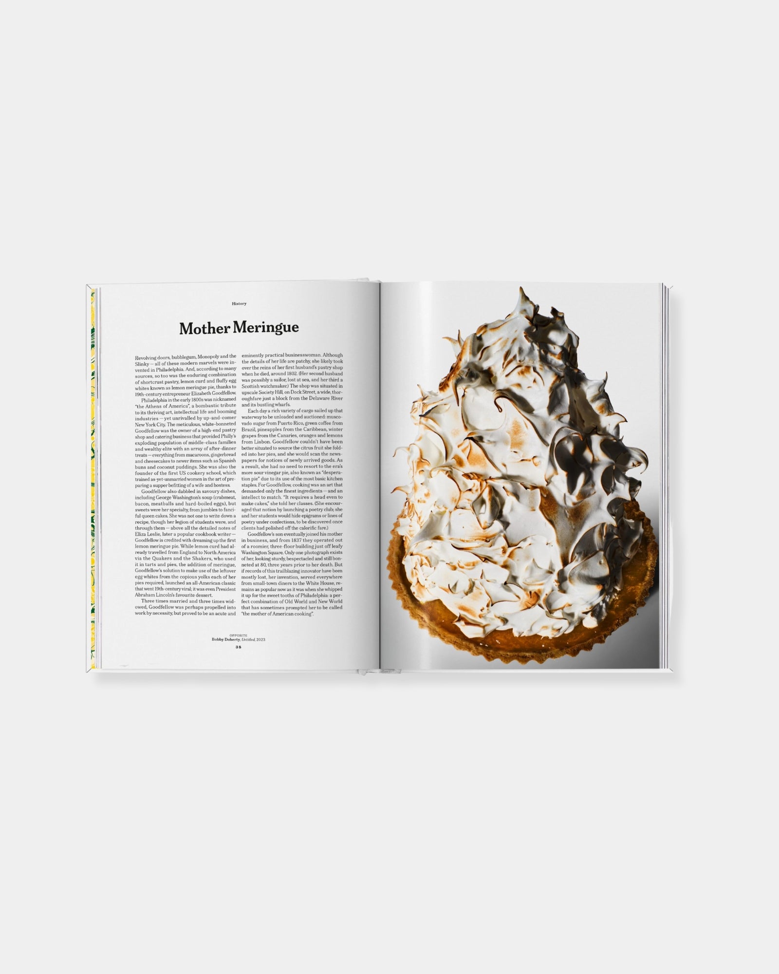 GOURMAND'S LEMON A COLLECTION OF STORIES - BOOK