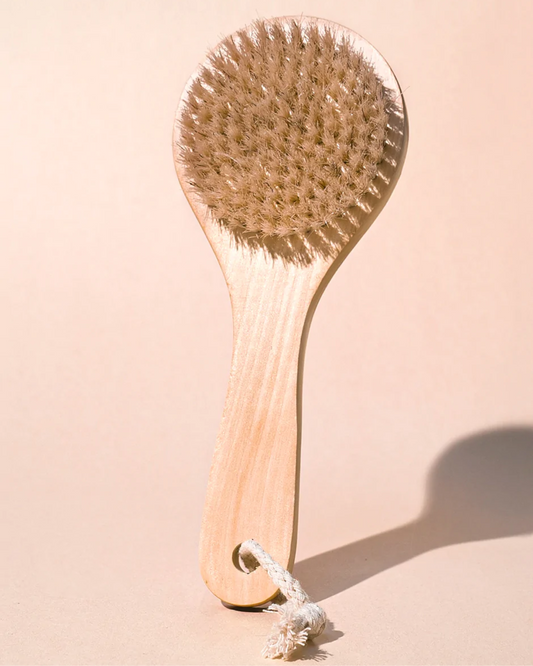 DRY BODY BRUSH
